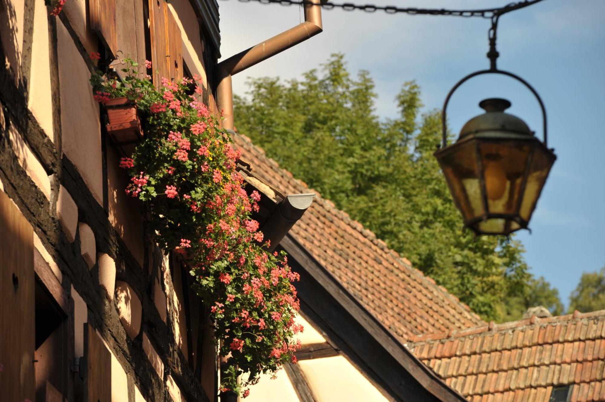 Logis Hotel Restaurant De La Poste Et Spa De Montagne Le Bonhomme Zewnętrze zdjęcie